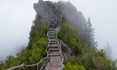 和平精英常见战术与玩法，不同场景下的应对策略